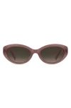 Kate Spade New York Caeley 52mm Oval Sunglasses In Brown