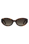 Kate Spade New York Caeley 52mm Oval Sunglasses In Black