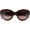 Kate Spade New York Capri 50mm Gradient Cat Eye Sunglasses In Brown
