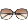 Kate Spade New York Darrilyn 58mm Butterfly Sunglasses In Brown Horn/brown Fuschia Ms