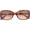 Kate Spade New York Dionnas 52mm Rectangular Sunglasses In Brown