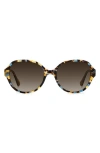 Kate Spade New York Emalie 56mm Gradient Oval Sunglasses In Multi