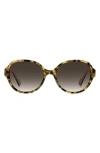Kate Spade New York Emalie 56mm Gradient Oval Sunglasses In Havana/brown Sf