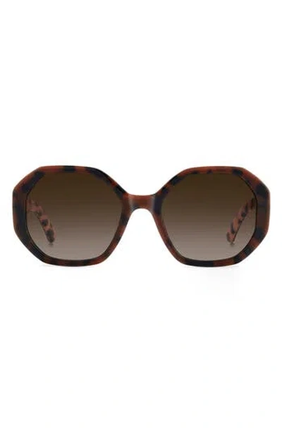 Kate Spade New York Flynnie 54mm Geometric Sunglasses In Brown