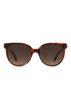 Kate Spade Geralyns 53mm Round Sunglasses In Havana/brown Gradient
