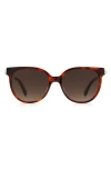 Kate Spade Geralyns 53mm Round Sunglasses In Havana/brown Gradient