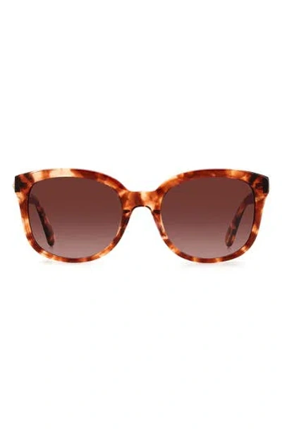 Kate Spade New York Gweniths 53mm Gradient Square Sunglasses In Brown