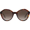 Kate Spade New York Jezebel 54mm Gradient Round Sunglasses In Havana/brown Gradient