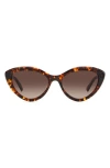 Kate Spade New York Junigs 55mm Gradient Cat Eye Sunglasses In Havana/brown Gradient