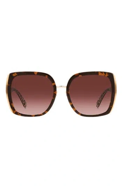 Kate Spade New York Kimber 56mm Gradient Square Sunglasses In Havana/brown Gradient