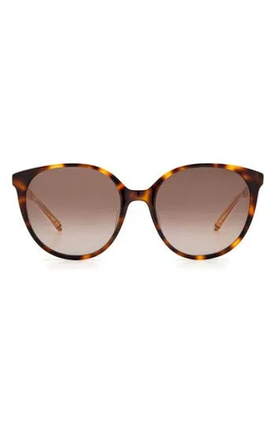 Kate Spade New York Kimberlyn 56mm Gradient Cat Eye Sunglasses In Brown