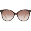 Kate Spade New York Kinsley 55mm Cat Eye Sunglasses In Brown