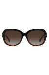 Kate Spade New York Laynes 55mm Gradient Sunglasses In Black Havana/brown Polar