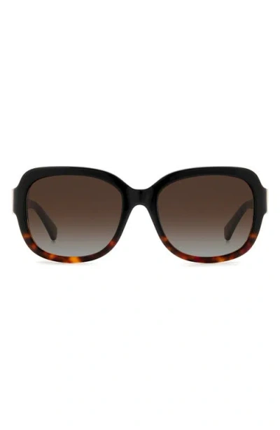 Kate Spade New York Laynes 55mm Gradient Sunglasses In Black Havana/brown Polar
