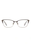 Kate Spade New York Lidia 54mm Rectangular Reading Glasses In Brown