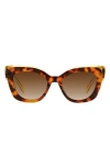 Kate Spade New York Marigolds 51mm Gradient Cat Eye Sunglasses In Havana/brown Sf Polar