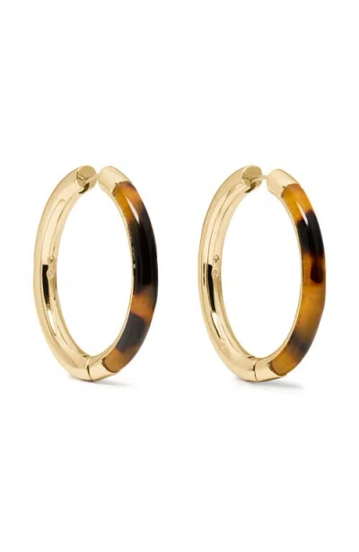 Kate Spade New York Mixed Hoop Earrings In Brown