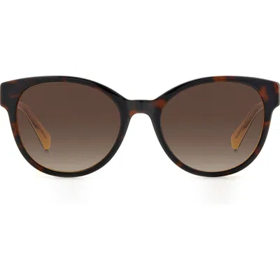 Kate Spade New York Nathalie 55mm Gradient Round Sunglasses In Havana