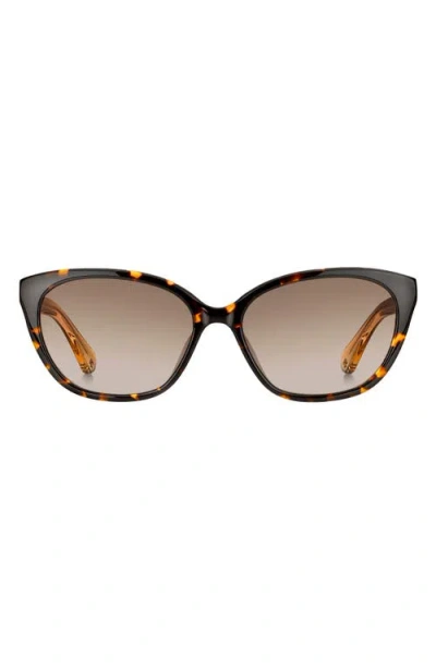 Kate Spade New York Phillipa 54mm Gradient Cat Eye Sunglasses In Havana/beige/brown