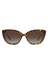 Kate Spade New York Phillipa 54mm Gradient Cat Eye Sunglasses In Havana/brown Sf Polar