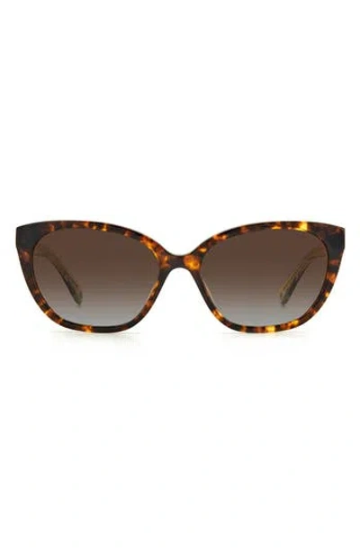Kate Spade New York Phillipa 54mm Gradient Cat Eye Sunglasses In Brown