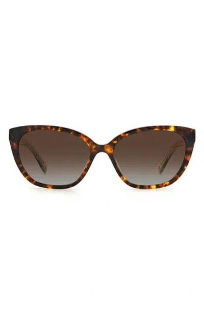 Kate Spade New York Phillipa 54mm Gradient Cat Eye Sunglasses In Havana/brown Sf Polar