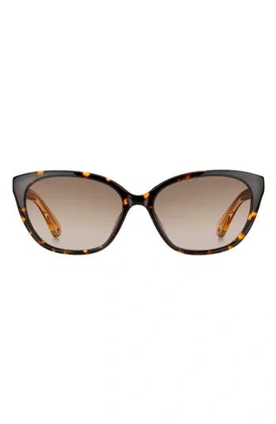Kate Spade New York Phillipa 54mm Gradient Cat Eye Sunglasses In White