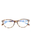 Kate Spade New York Roanne 54mm Cat Eye Reading Glasses In Brown