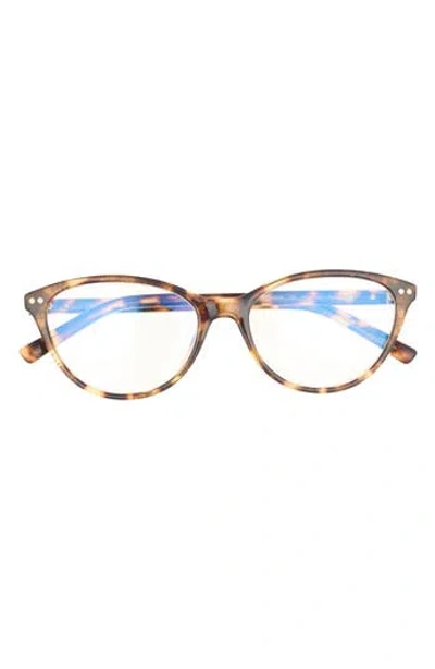 Kate Spade New York Roanne 54mm Cat Eye Reading Glasses In Brown