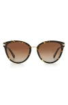 Kate Spade New York Savona 53mm Gradient Polarized Cat Eye Sunglasses In Hvn/brown Grad Polz