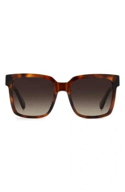 Kate Spade New York Shira 55mm Sunglasses In Brown