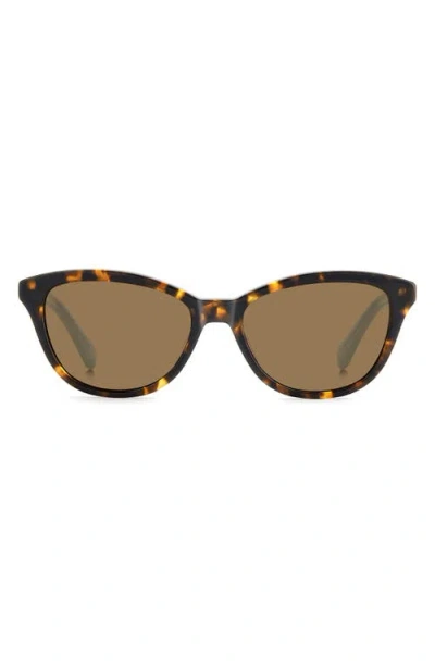 Kate Spade New York Tayla 55mm Sunglasses In Brown