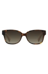 Kate Spade New York Trulee 55mm Gradient Square Sunglasses In Brown