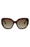Kate Spade New York Winslet 55mm Polarized Cat Eye Sunglasses In Havana Gold/brown Sf Polar