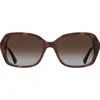 Kate Spade New York Yvette 54mm Gradient Polarized Square Sunglasses In Havana/brown Sf Polar