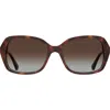 Kate Spade New York Yvette 54mm Gradient Polarized Square Sunglasses In Brown