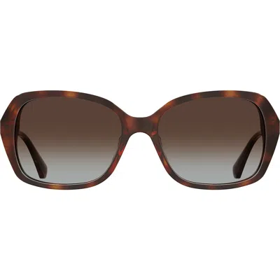 Kate Spade New York Yvette 54mm Gradient Polarized Square Sunglasses In Havana/brown Sf Polar