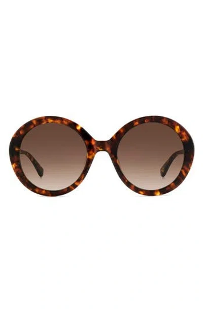 Kate Spade New York Zya 55mm Round Sunglasses In Havana