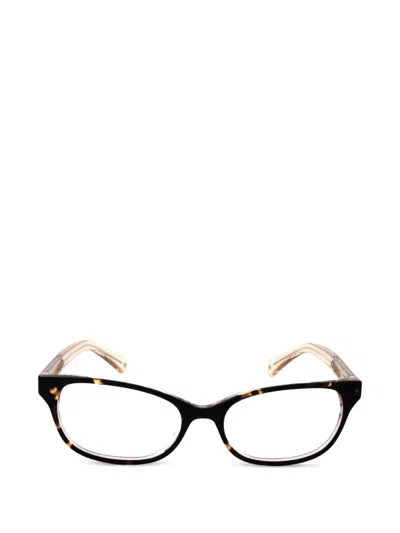 Kate Spade Rainey Cat-eye Glasses In Brown