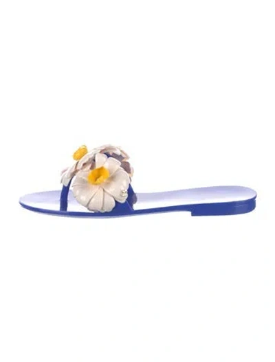 Pre-owned Kate Spade Rubber Floral Print Slides In Blue