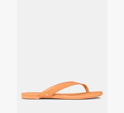 Kate Spade Sandie Flip Flop Sandals In Pink