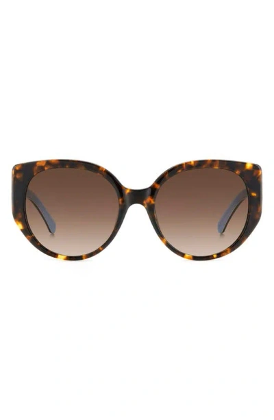 Kate Spade Seraphina 55mm Gradient Round Sunglasses In Havana/ Brown Gradient