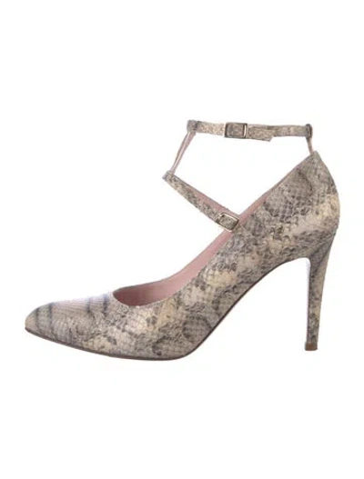 Pre-owned Kate Spade Snakeskin Animal Print Pumps In Gray