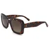 Kate Spade Bellamy Square Acetate Sunglasses In Brown