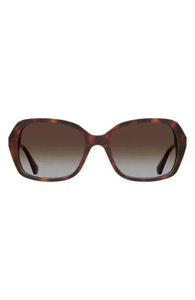 Kate Spade Yvette 54mm Gradient Polarized Square Sunglasses In Havana/ Brown Sf Polar