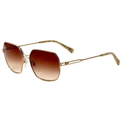 Kate Young Charlie Women's Sunglasses In Brown