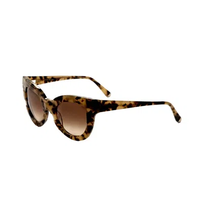 Kate Young Women's 50mm Brown Sunglasses In Gray
