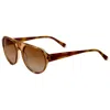 Kate Young Women's 53mm Brown Sunglasses