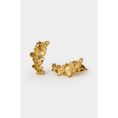 Katie Loxton Floramour Crawler Earrings In Gold
