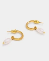 Katie Loxton Pearl Lustre Hoop Earrings In Gold